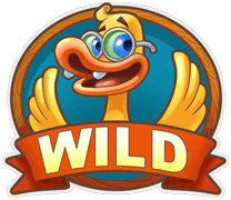 Scruffy Duck Wild